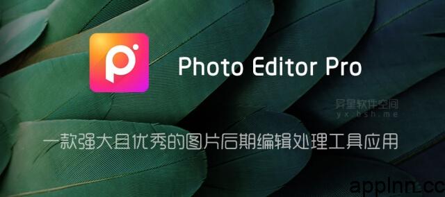 PolishPro v2.0.2 iOS绿化版
