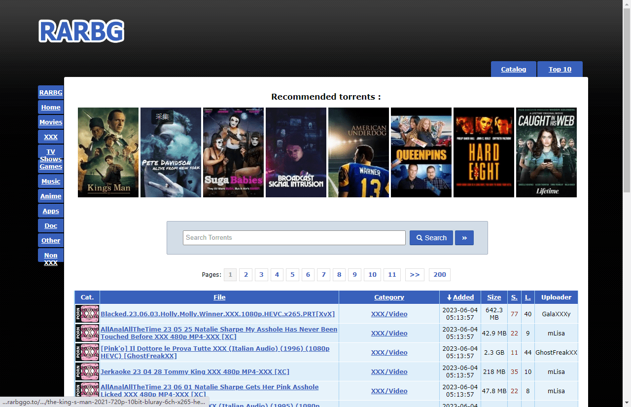 RARBG可用镜像站集合插图