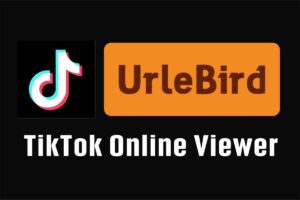 TikTok镜像网站 轻松在线刷TikTok视频-Urlebird插图 TikTok镜像网站 轻松在线刷TikTok视频-Urlebird插图