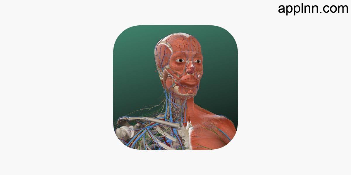 IOS圈X规则|万康人体解剖-3dbody解剖插图 IOS圈X规则|万康人体解剖-3dbody解剖插图