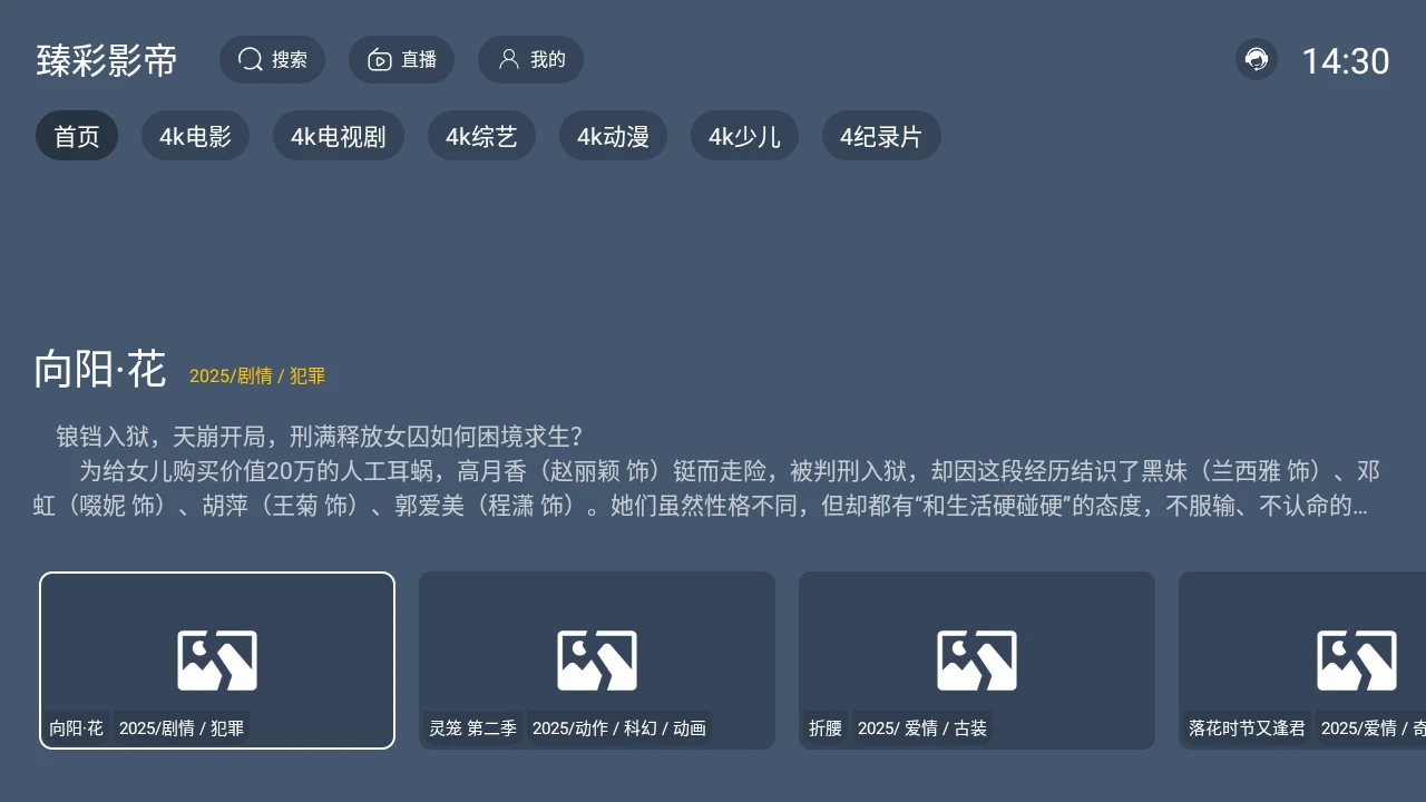 臻彩影帝 v2.1.1 TV版