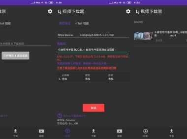 Lj视频下载器  v1.1.67 安卓绿化版