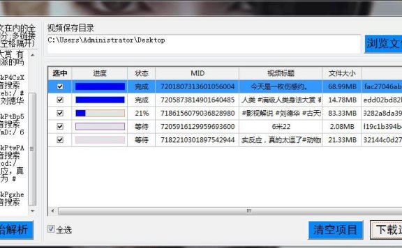抖音无水印直链解析下载工具 PC版