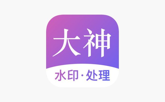 大神水印 v2.3.8 安卓绿化版