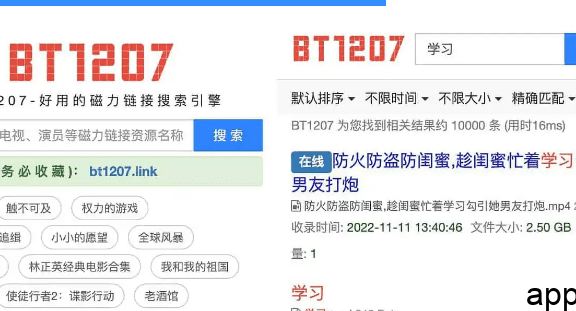 BT1207-简洁好用的磁力链接搜索引擎