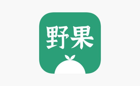 iOS破解插件|野果阅读破解插件deb|