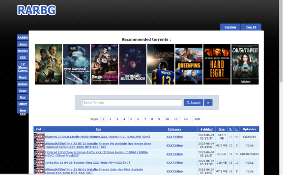 RARBG可用镜像站集合