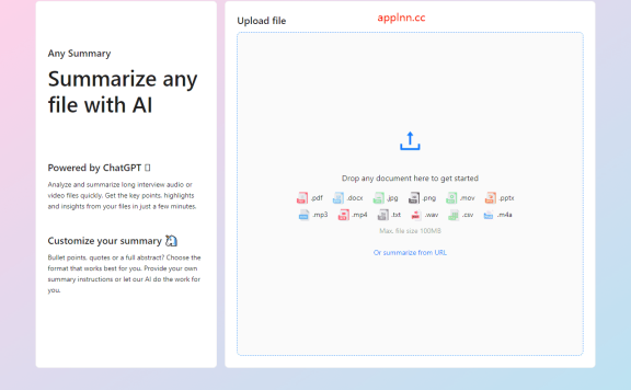 AI总结分析工具 使用 AI 总结任何文件-Any Summary