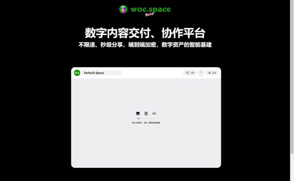 Woc Space-全球不限速大文件传输工具 数字内容分享协作平台