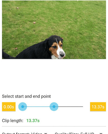 Video & GIF Memes v1.1160 安卓绿化版