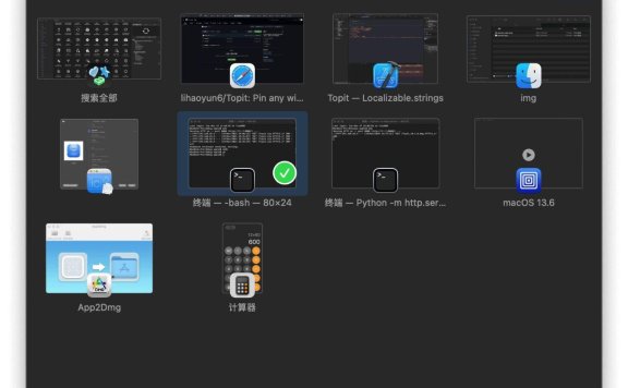 Topit - 将任意多个应用窗口强制置顶显示