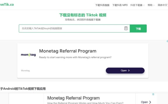 去水印Tiktok 视频下载器：SaveTik Co