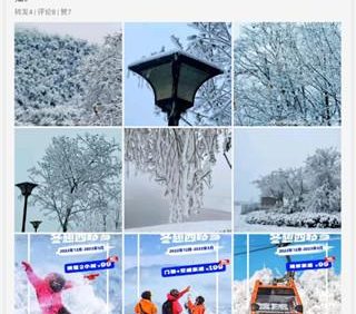 See微博 v4.0.0.2/4.0.0.0 安卓绿化版